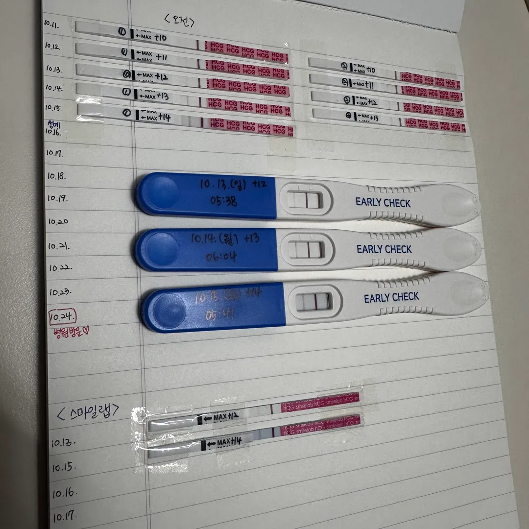 배란14일차인데 임테기 진하기가 걱정되어요ㅠㅠ