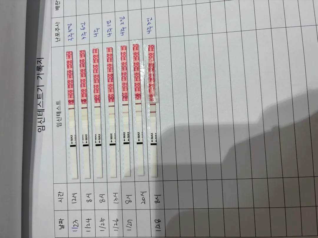 원포진하기