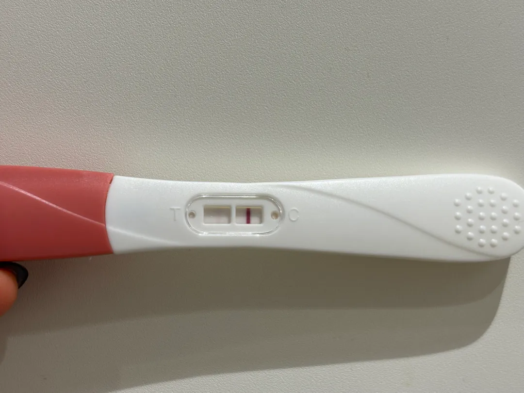 임테기 두줄