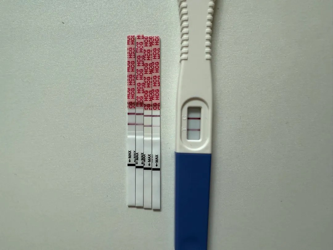 얼리로 이정도면 맞겠죠?