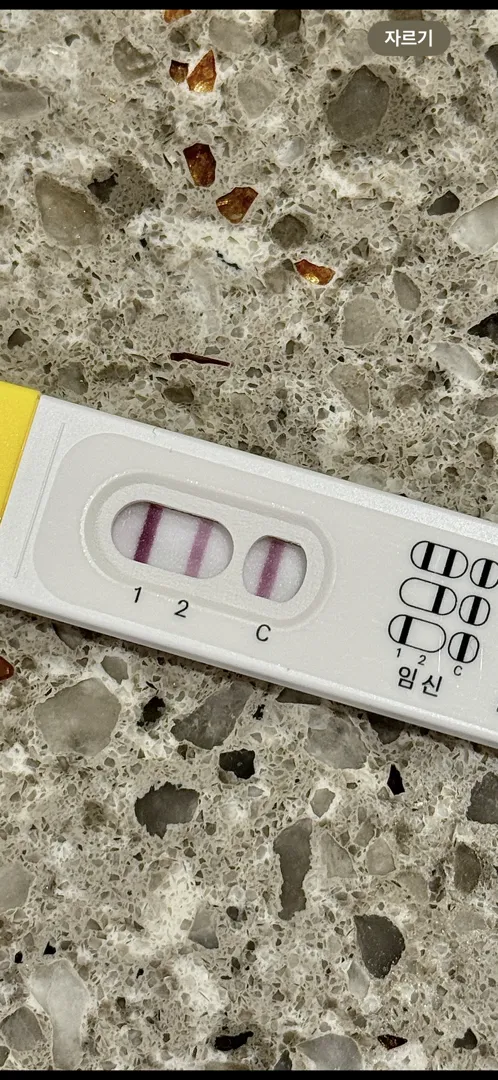 6주차 파이널 임테기 봐주세요