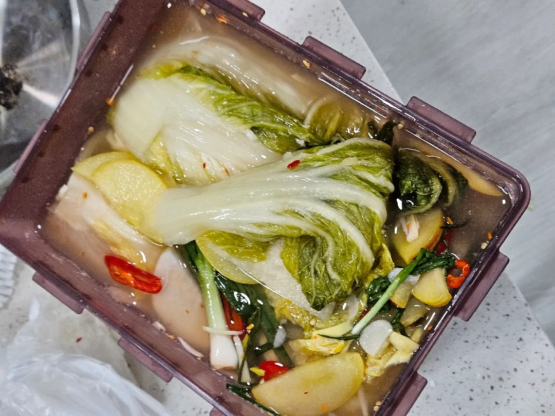입덧으로 하루종일 속이 안좋앗는데 직접 만든 물김치로 광명 찾았어요