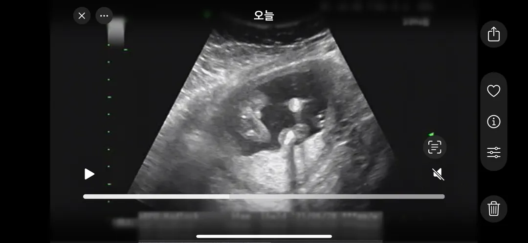 이정도면 딸일까요??