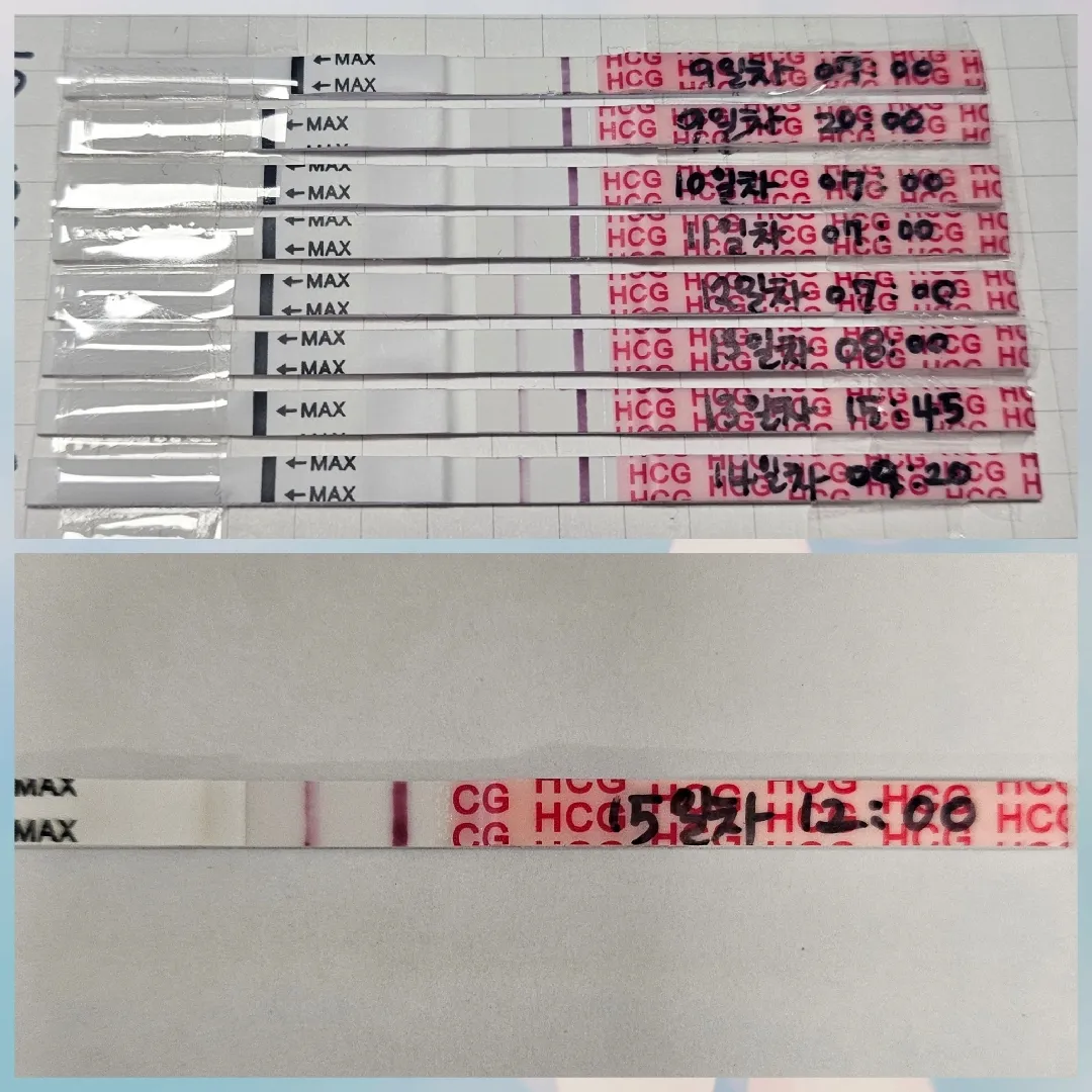 배란15일차 진하기봐주세요ㅠㅠ