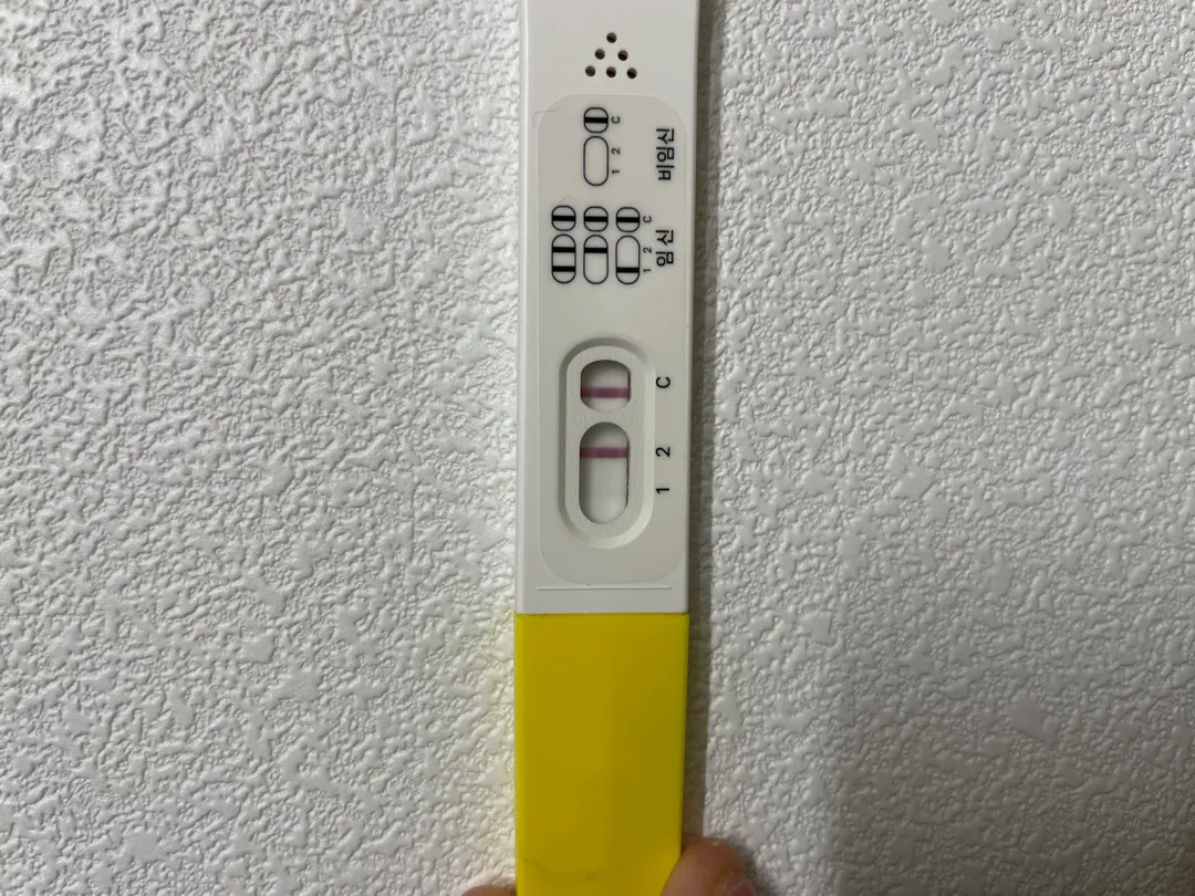 쓰리라인 아기집 보일까요? ㅠㅠ