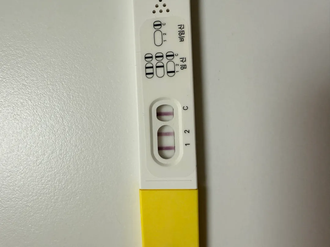 파이널쓰리라인임테기좀 봐주세용