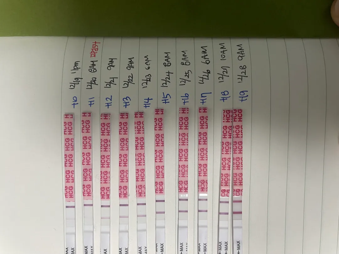 드디어 역전한거 같아요!! 배란 19일차