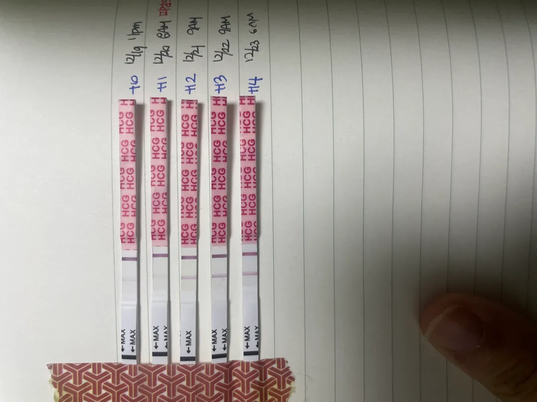임테기 진하기 봐주실수 있을까요?