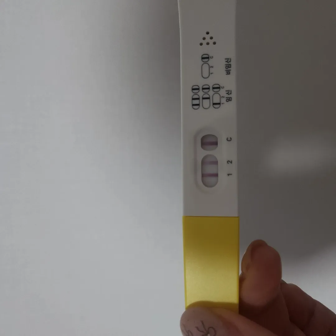 쓰리임테기 2번이 연해진거 맞나요?