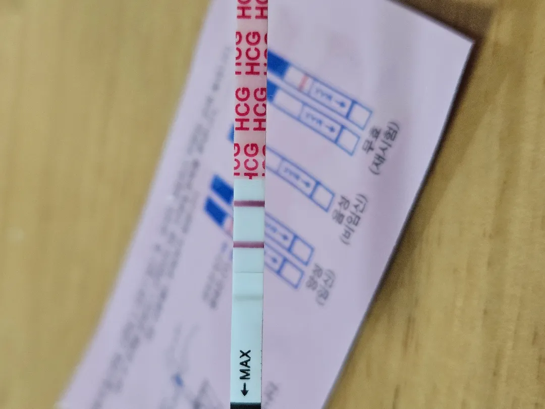 내일 아기집 볼 수 있을까요?