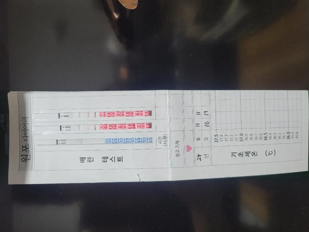 임테기 두 줄