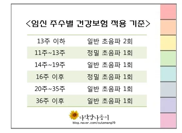 초기에 초음파 2주마다보나요? 보험횟수!