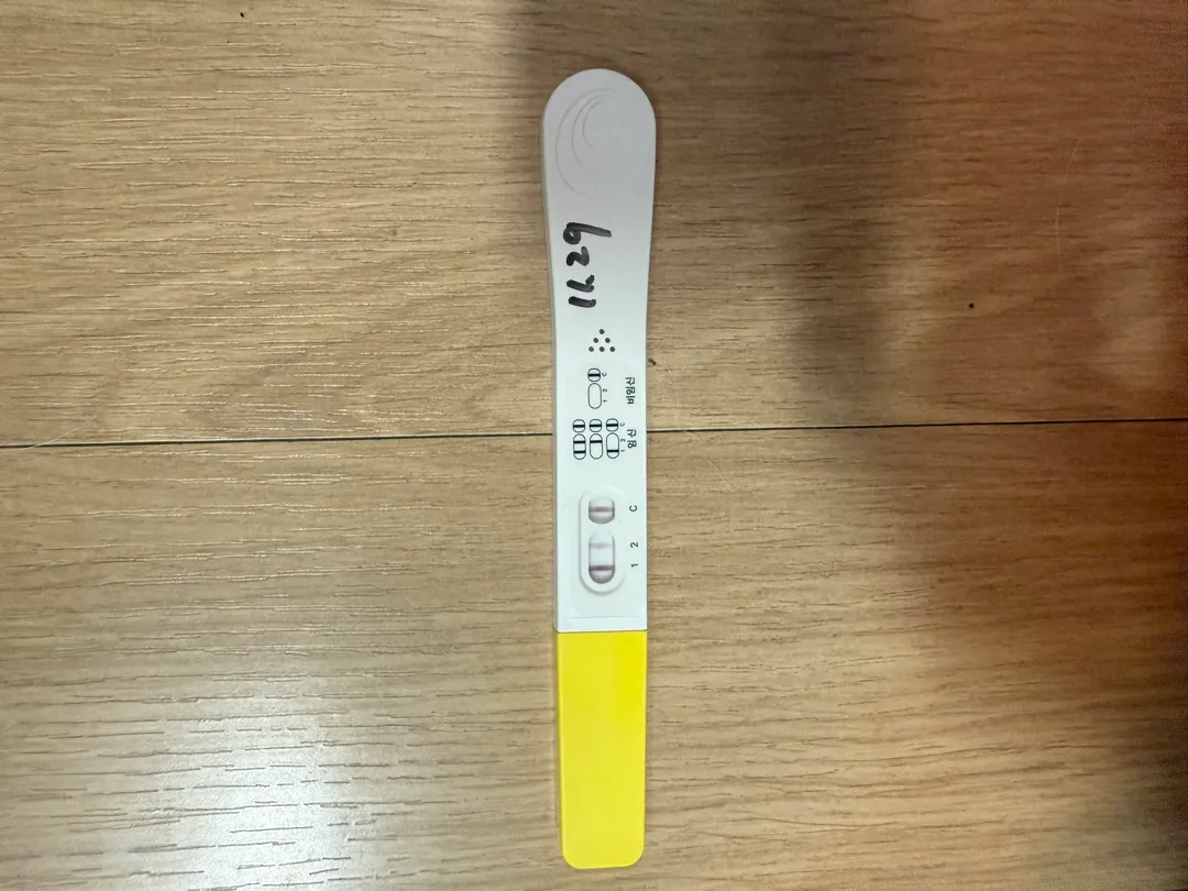 심소 들을수 있겠죠?