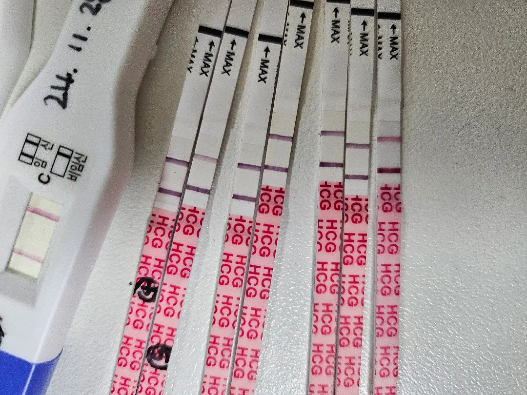 무배아임신..