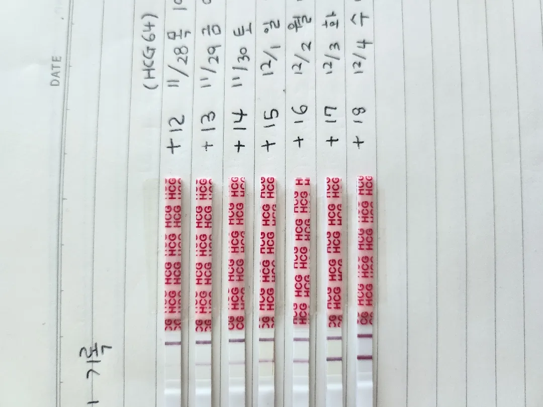 배란18일차입니다! 금요일에 아기집 보일까요??