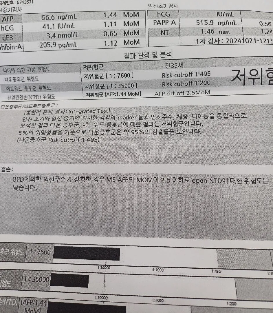 기형아검사 결과좀 봐주세용
