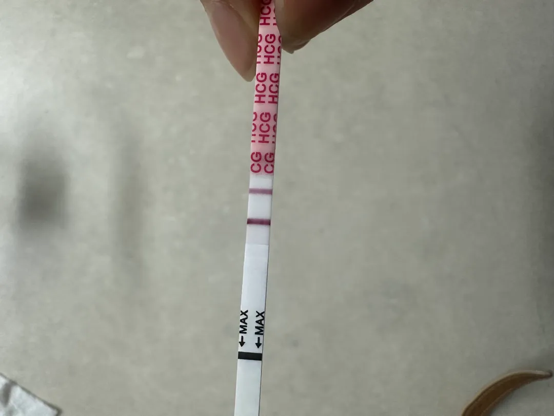 임테기 역전 아기집