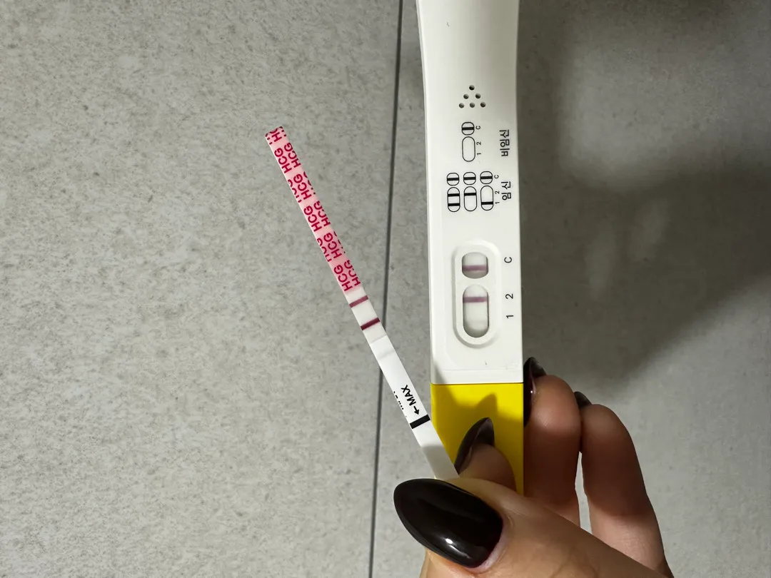 5주 2일차 아기집 볼 수 있응까요?