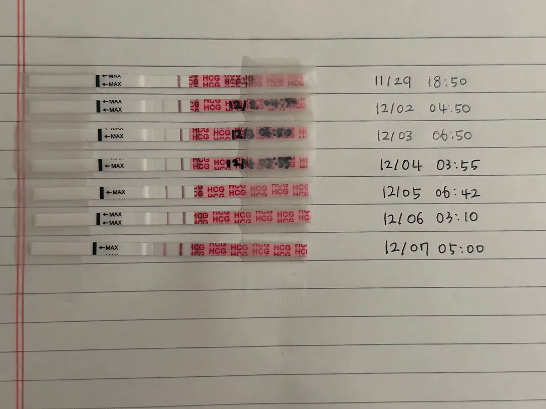 4주 5일차 임테기 진하기 괜찮은거죠?
