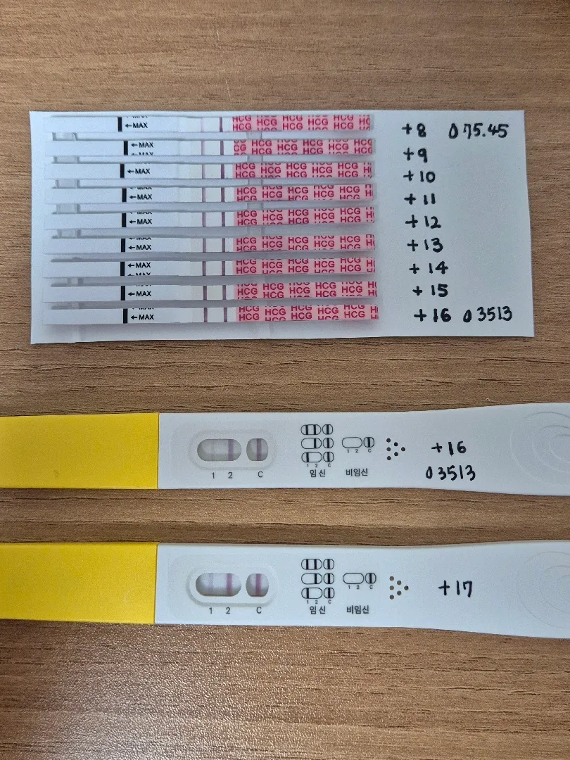 시험관)다음주에 아기집보러가요~~~