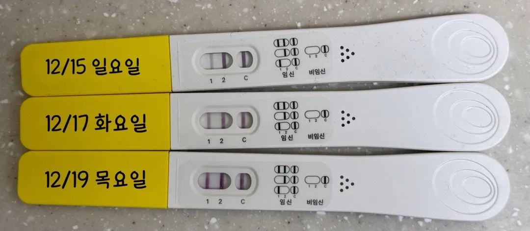 심소 들을 수 있게쬬 ??!