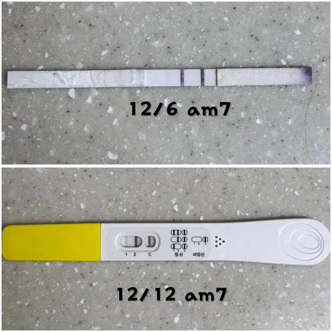 이 정도면 아기집 볼 수 있을까요 ?