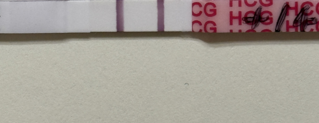 배란14일 진하기에요 역전 언제 될까요?