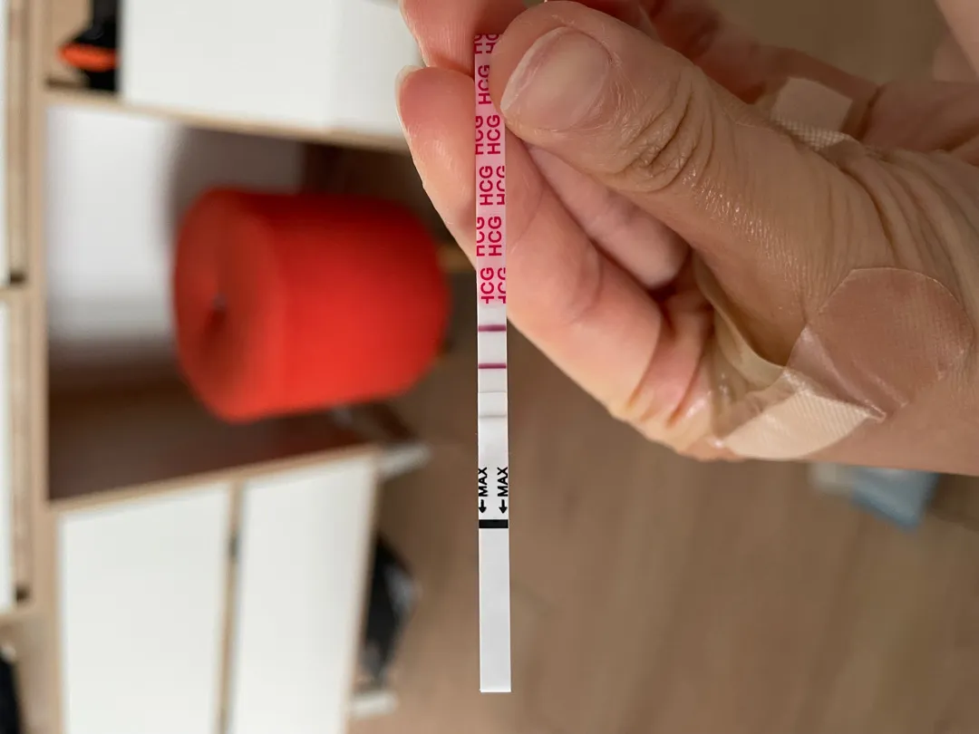 임테기 두줄 두찌 확정..?