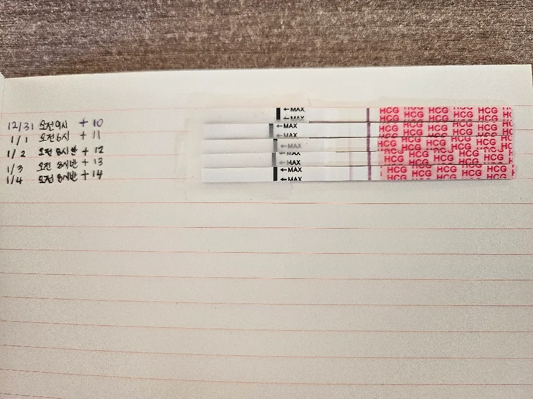 4주2일, 피검 받고 왔어요
