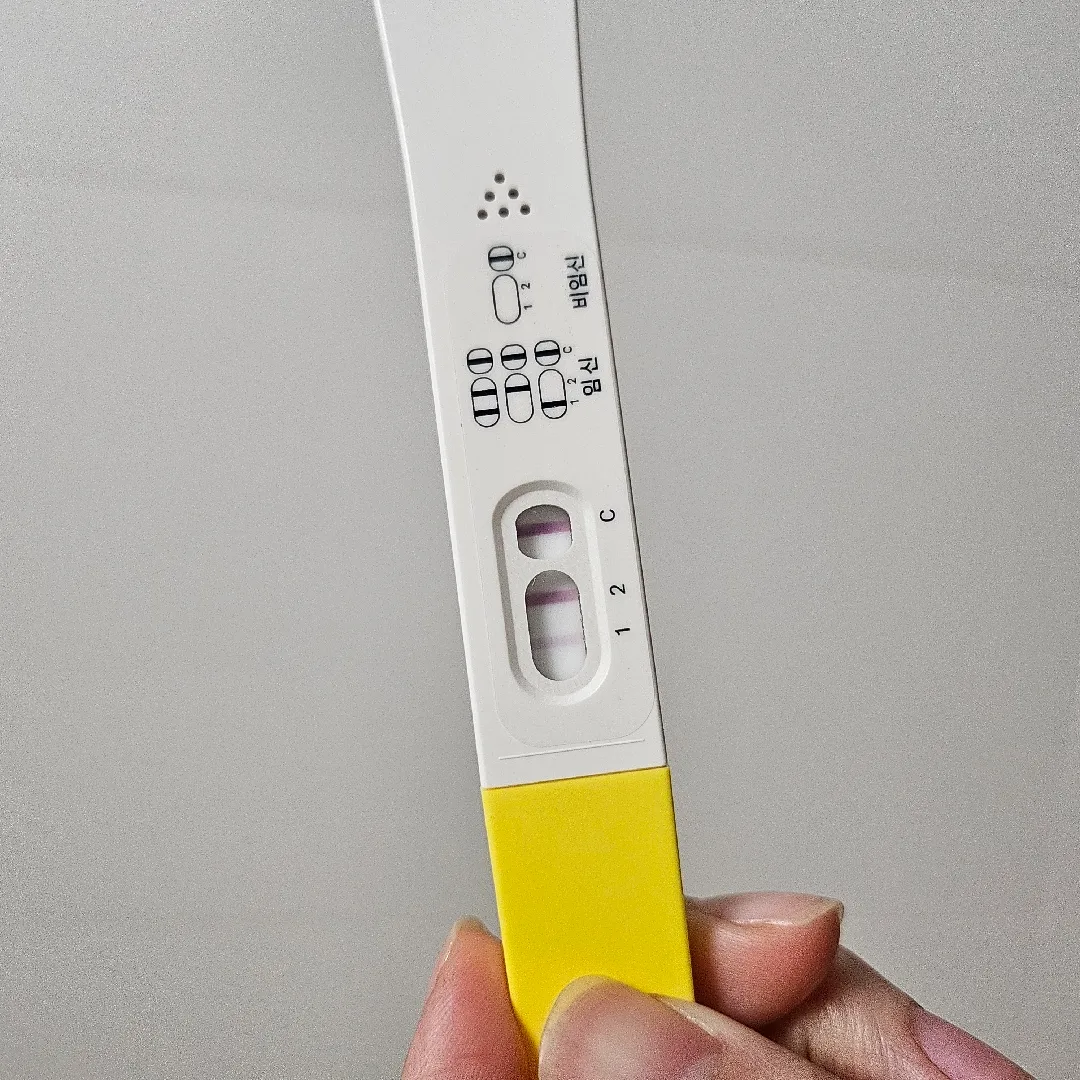 언제쯤 난황 심소들을수있을까요..