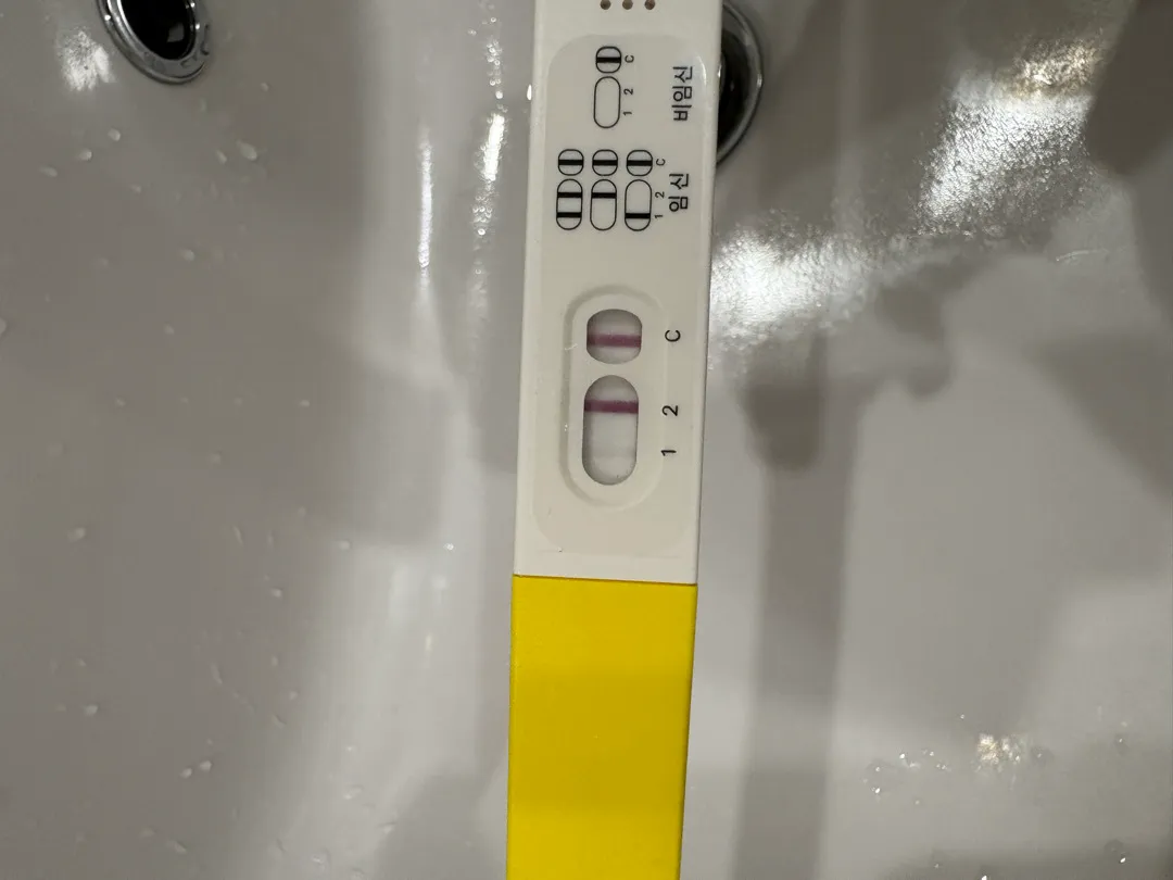 파이널 임테기 봐주세요!