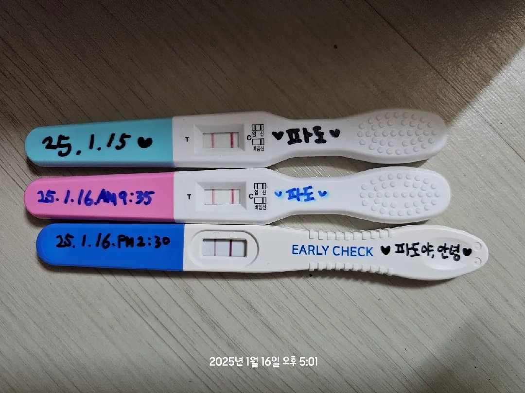 아기집과 난황이 언제보일지 궁금해요.