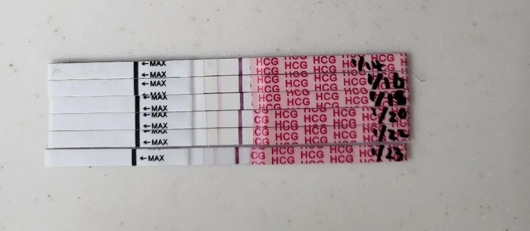 10일동안 임테기가 안진해지면...