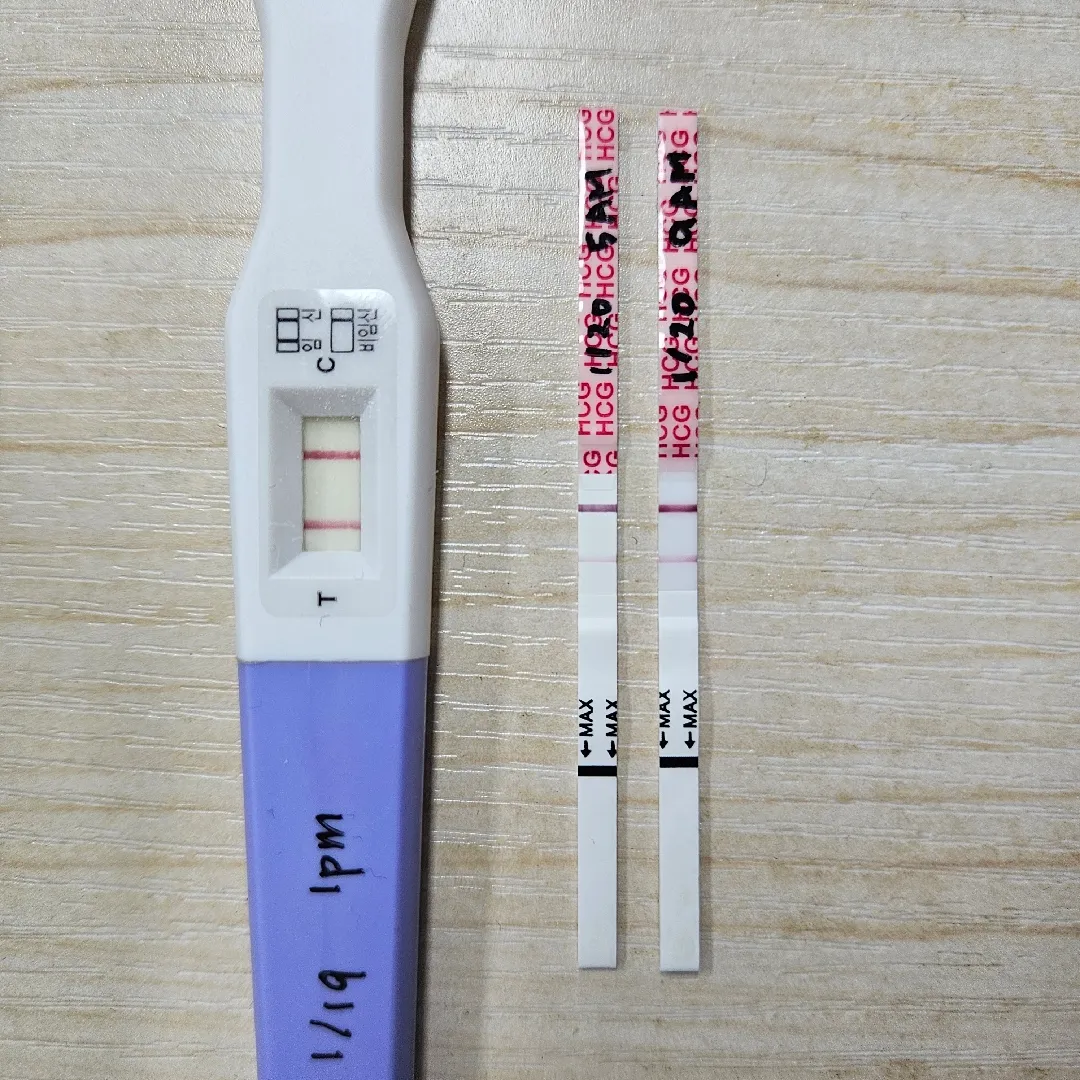 임테기 산부인과 방문 시기