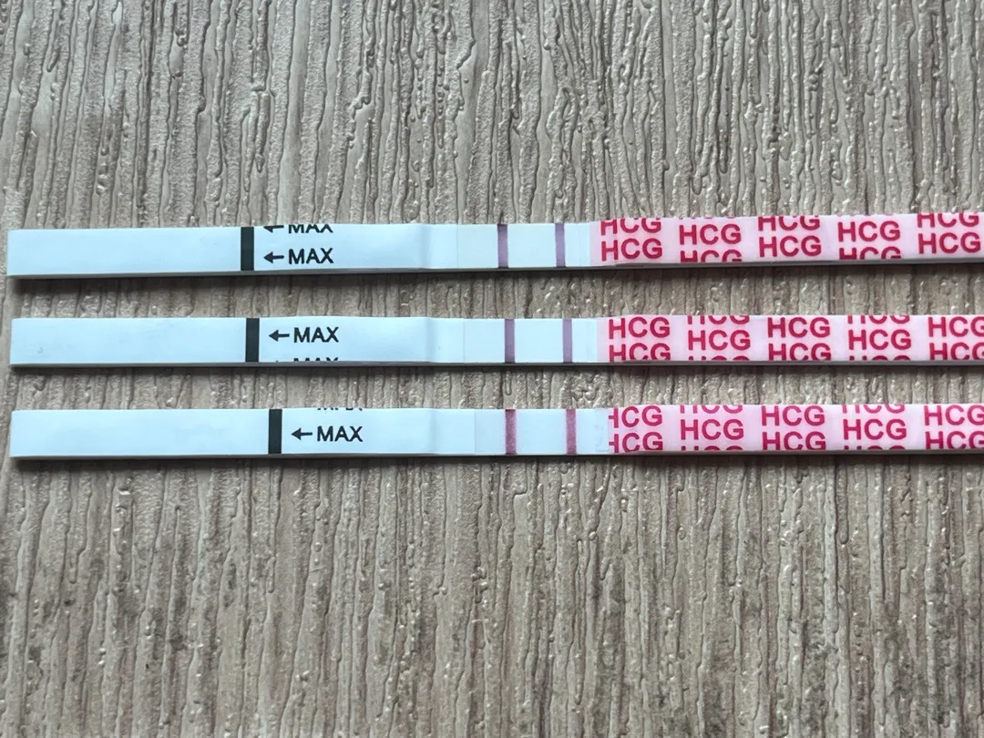 배란일 +23일인데 임테기 역전이 안돼요...