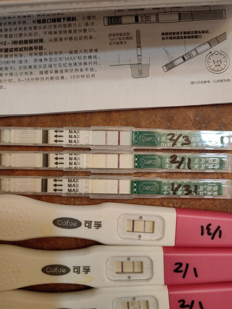 무럭무럭 자라는 단단이