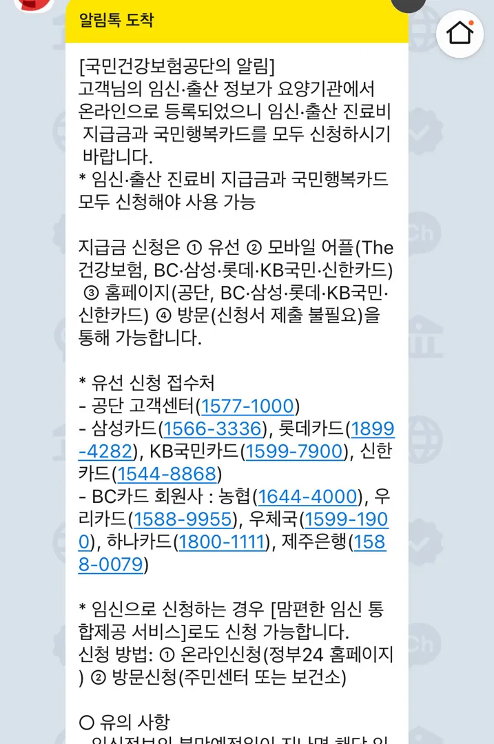 임신출산 진료비 지급금