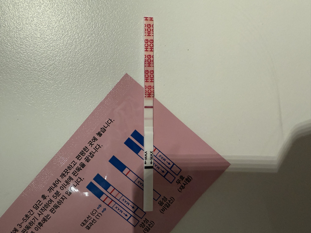 4주6일이라고 어플이 그러는데