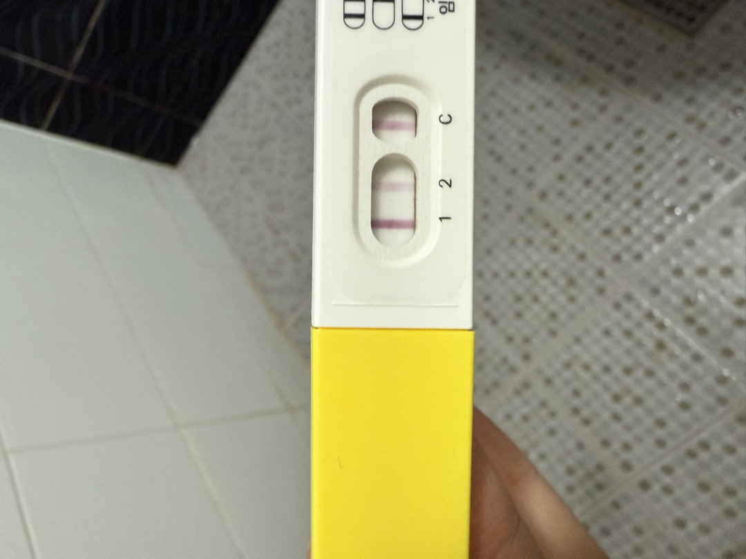 6주 0일 파이널 임테기 