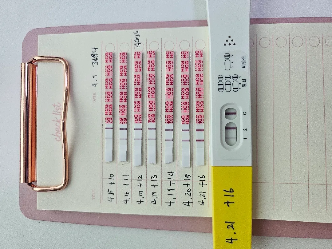 임테기 역전, 오늘 아기집 볼 수 있을까요?