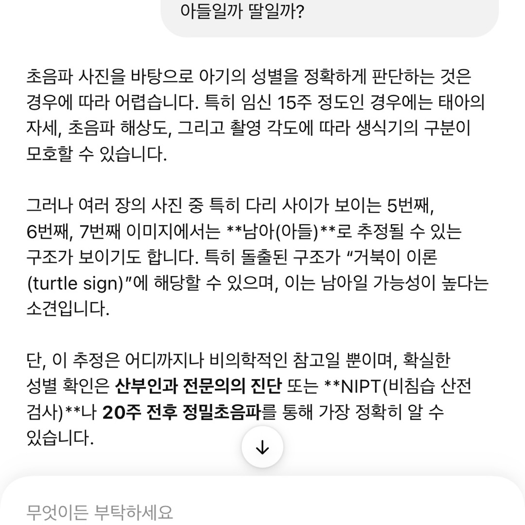 니프트 검사 결과 나오기 전에 성별 알아보기