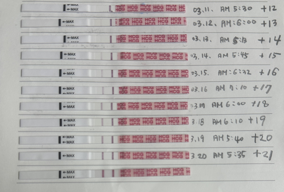 아기집이 안보이는 경우