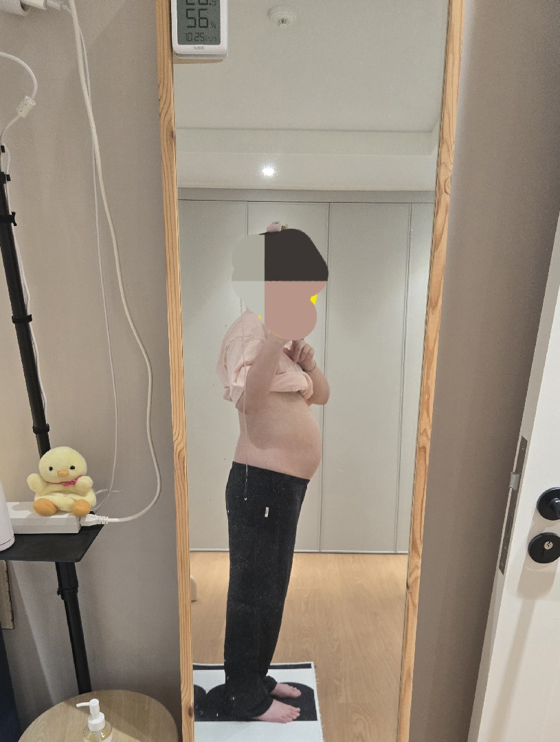 14주차 쌍둥이 배 이게 맞아요 ? 사진있어용 ㅠ