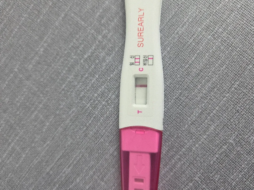 임테기