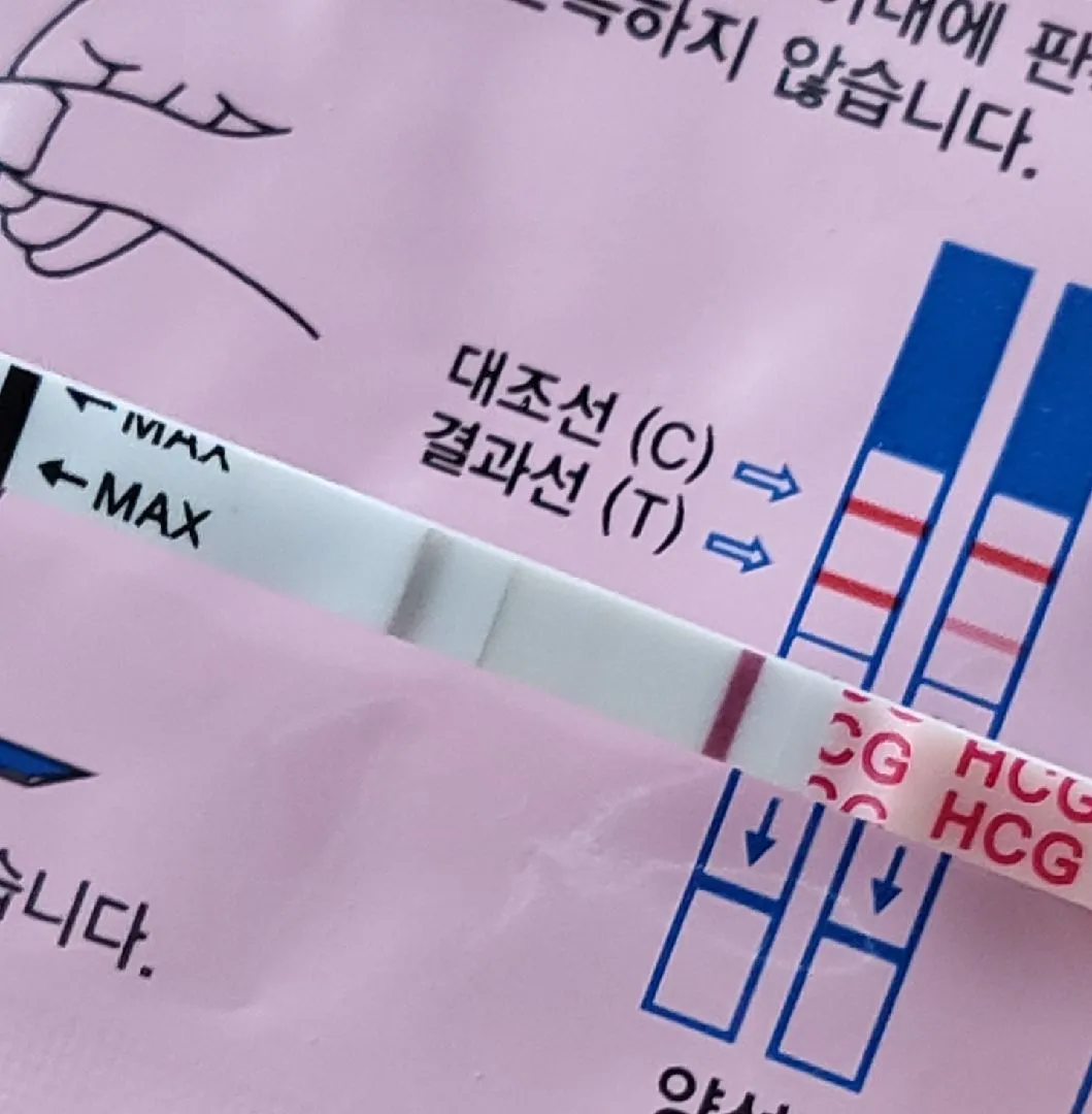 시약선일까요 두줄이 맞을까요?ㅠㅠ