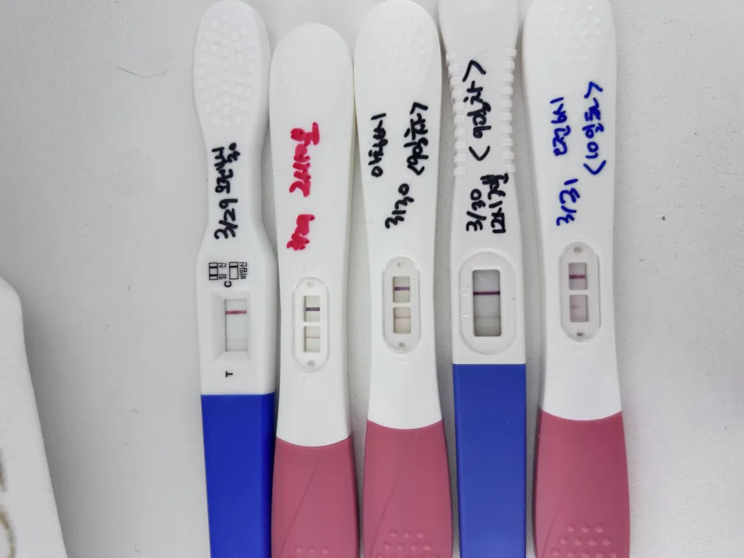 임테기 봐주세요(시험관3차)