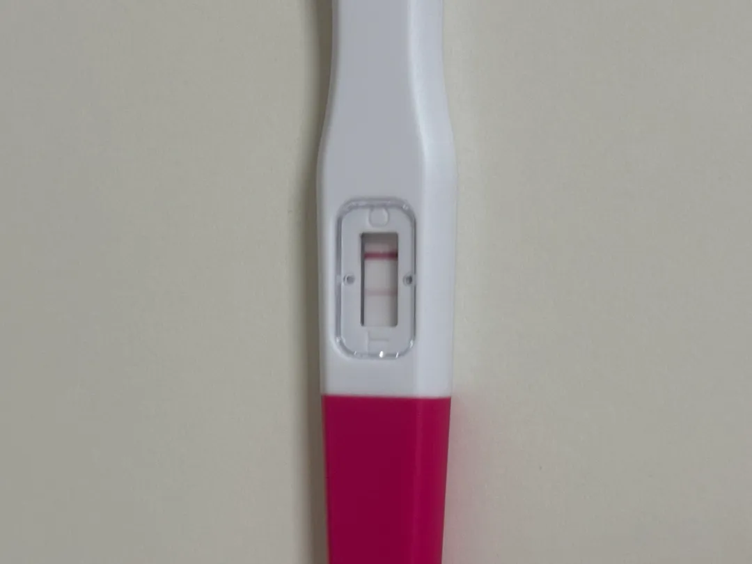 얼리임테기 봐주세용