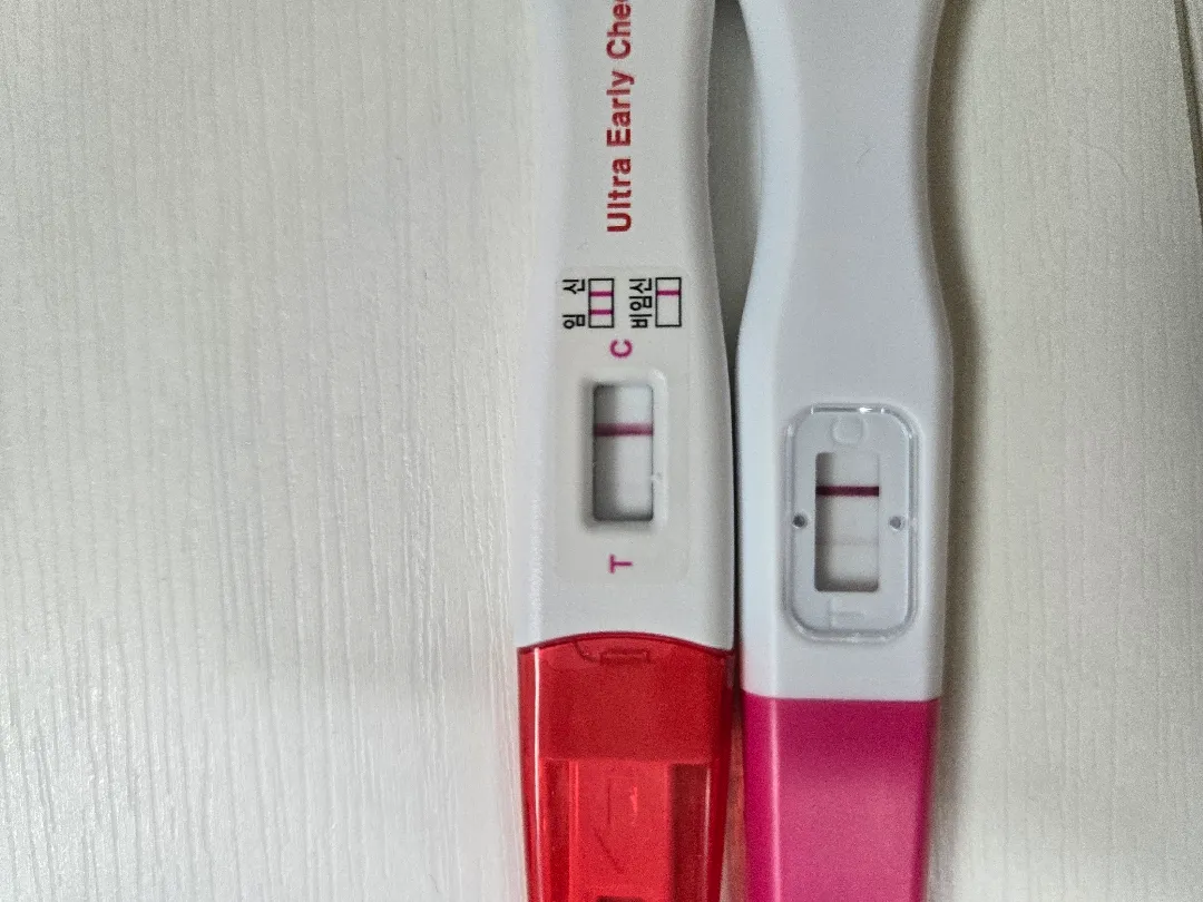 배란 13일차 아침 얼리 임테기