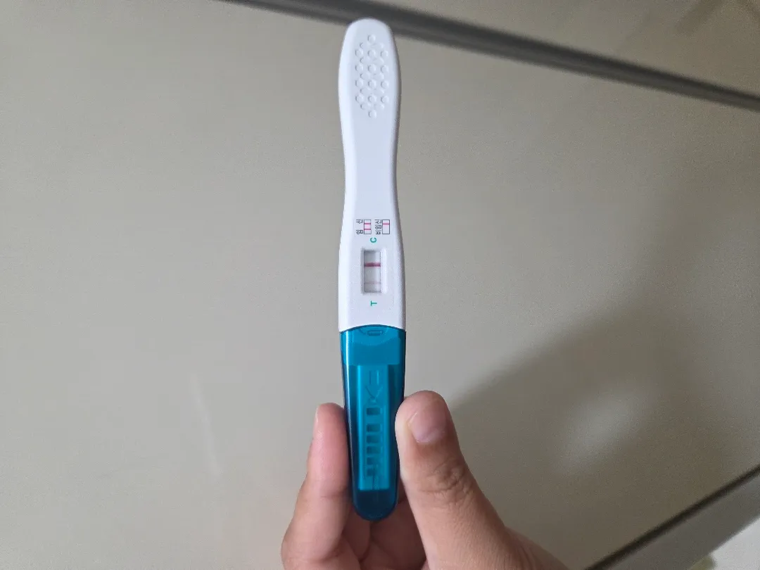 임테기 두줄