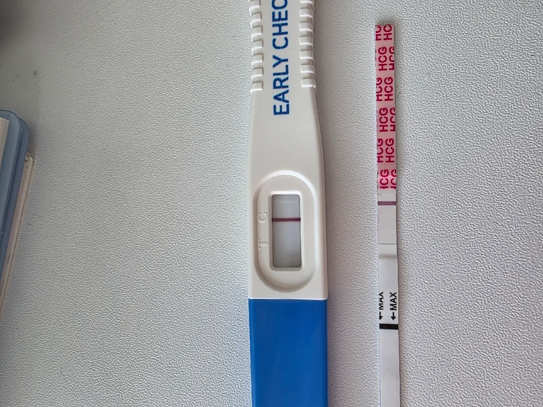 원포시약선일까요..